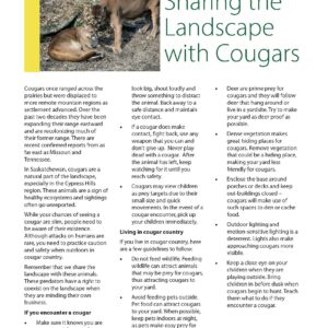 Cougar Information